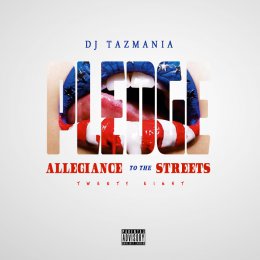 Pledge Allegiance To The Streets 28